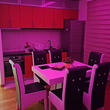 Apartmani Venera بلغراد المظهر الخارجي الصورة