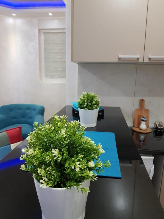 Apartmani Venera بلغراد المظهر الخارجي الصورة