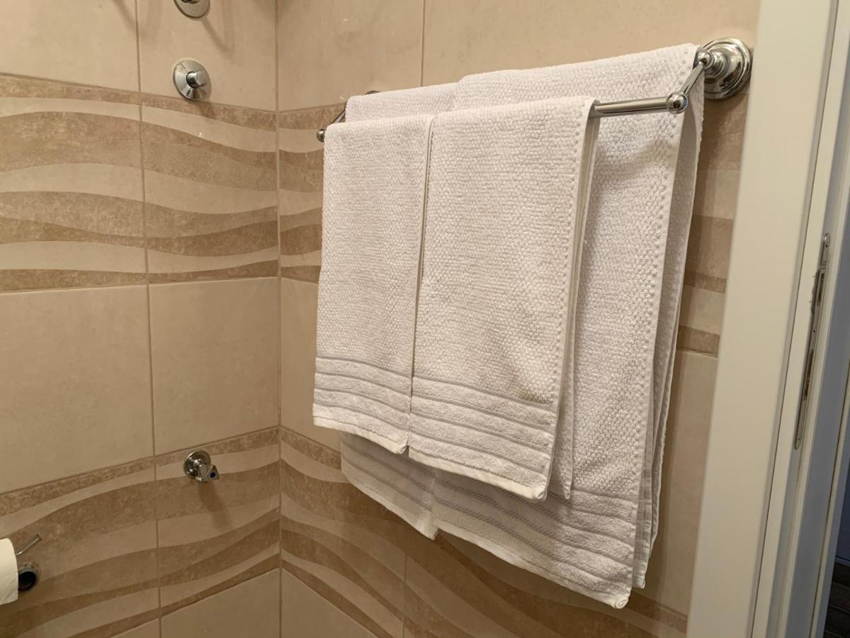 Apartmani Venera بلغراد المظهر الخارجي الصورة